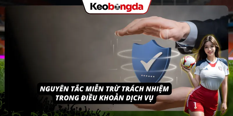 Điều Khoản Dịch Vụ - Những Điều Cần Biết Tại Kèo Bóng Đá Nguyên tắc trong điều khoản dịch vụ