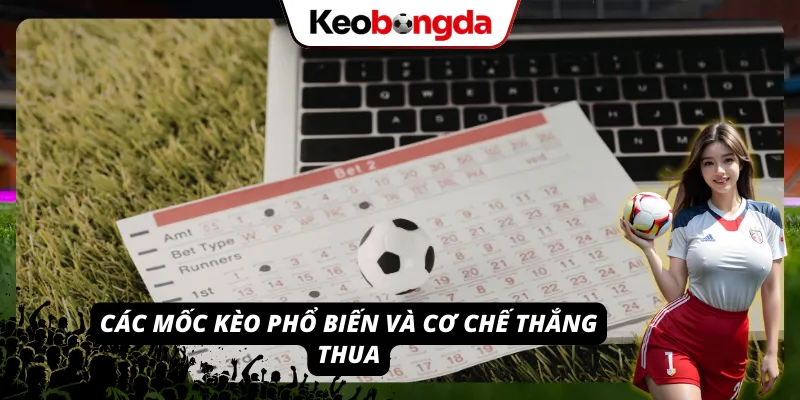 Các mốc kèo phổ biến