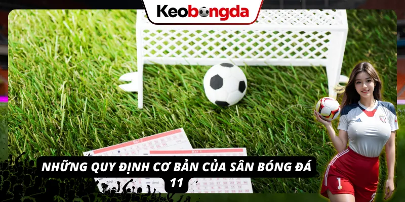 Luật Bóng Đá Sân 11 - Tất Tần Tật Những Điều Cần Biết Các quy định cần nắm trong luật bóng đá sân 11