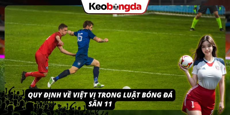 Luật Bóng Đá Sân 11 - Tất Tần Tật Những Điều Cần Biết Những nguyên tắc xác định lỗi việt vị