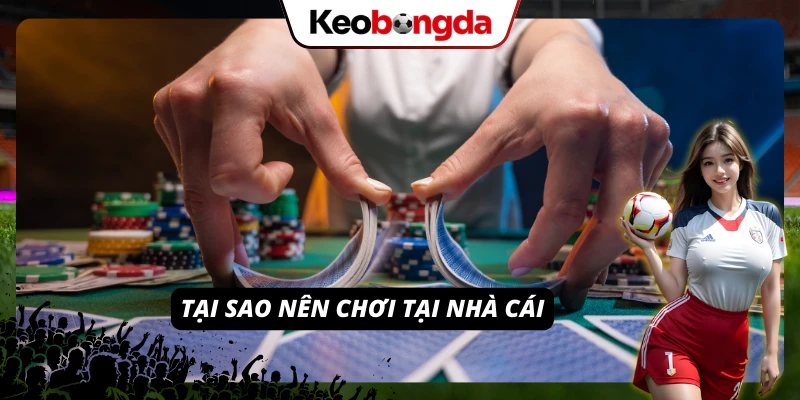 Sân Chơi RED88 Dành Riêng Cho Các Tân Thủ Mới Đến Với Cá Cược Lý do bạn nên cá cược tại RED88
