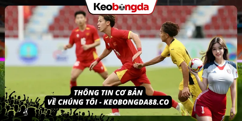 Giới thiệu tổng quan về chúng tôi – Keobongda88.co