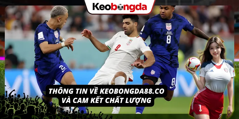 Cam kết chất lượng và minh bạch về chúng tôi – Keobongda88.co