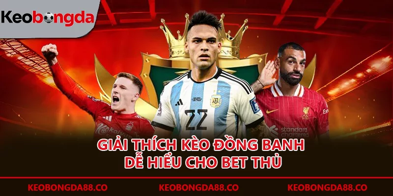 Trang chủ Giải thích kèo đồng banh dễ hiểu cho bet thủ