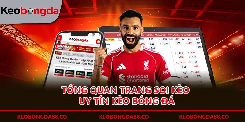 Trang chủ Tổng quan trang soi kèo uy tín Kèo Bóng Đá